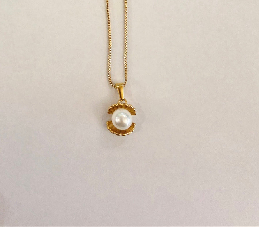RESERVED BY RUTH THE NELL SHELL NECKLACE