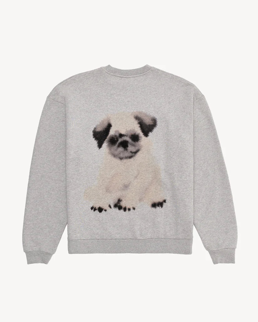 WILD ANIMALS PUG PUG SWEATSHIRT IN GREY