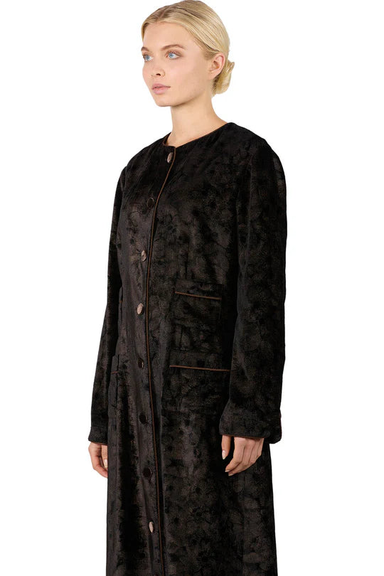 FOR RESTLESS SLEEPERS ARGIA IN PLAIN BROWN